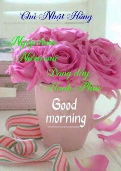 Hãy cảm ơn vì ....